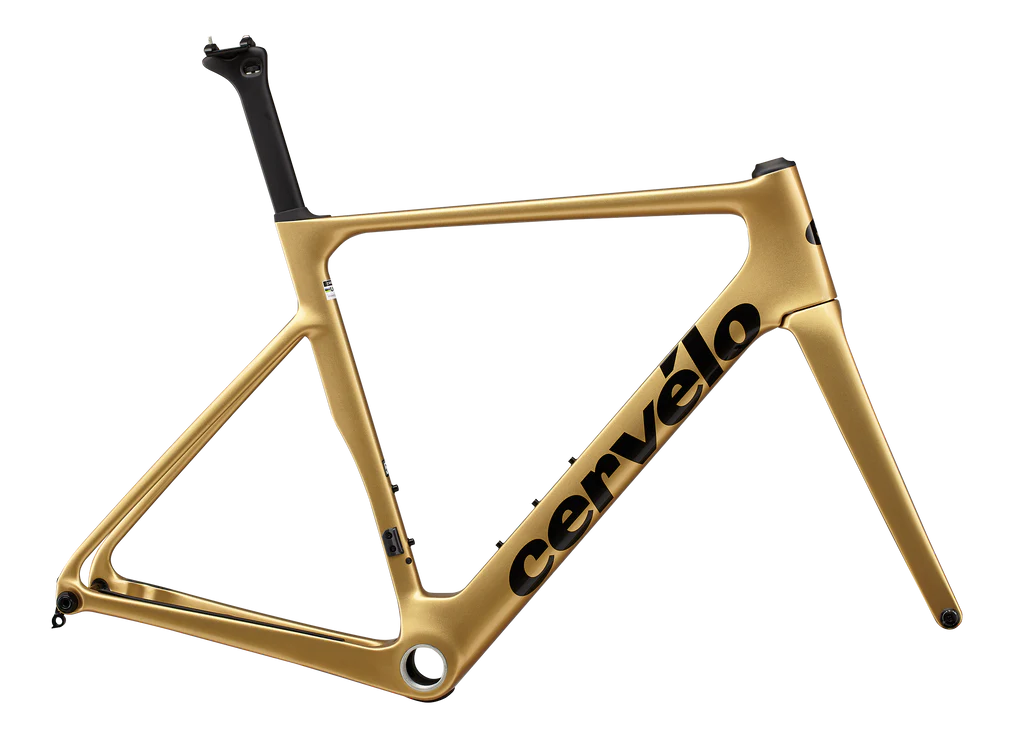 ceverlo soloist gold dust frame
