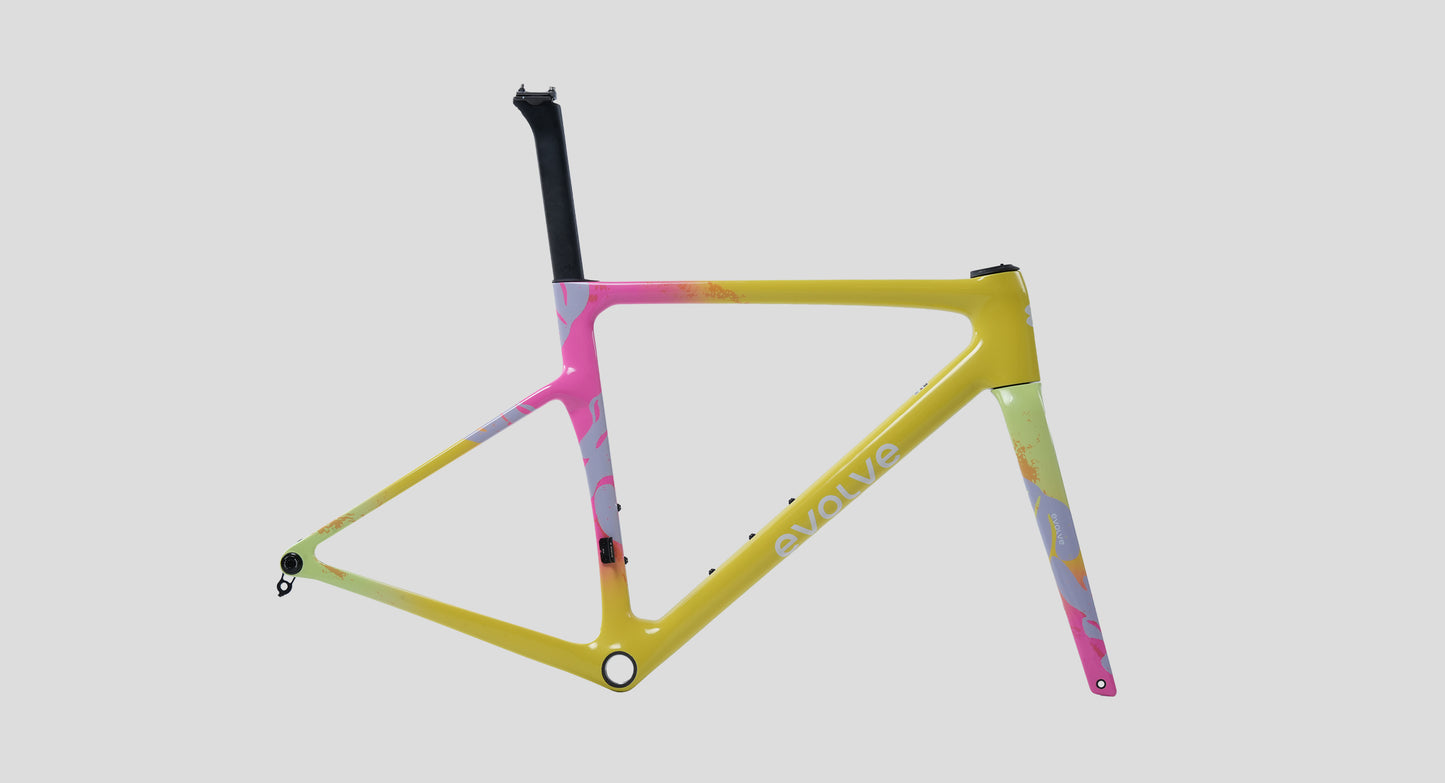 Evolve CIMA Frameset