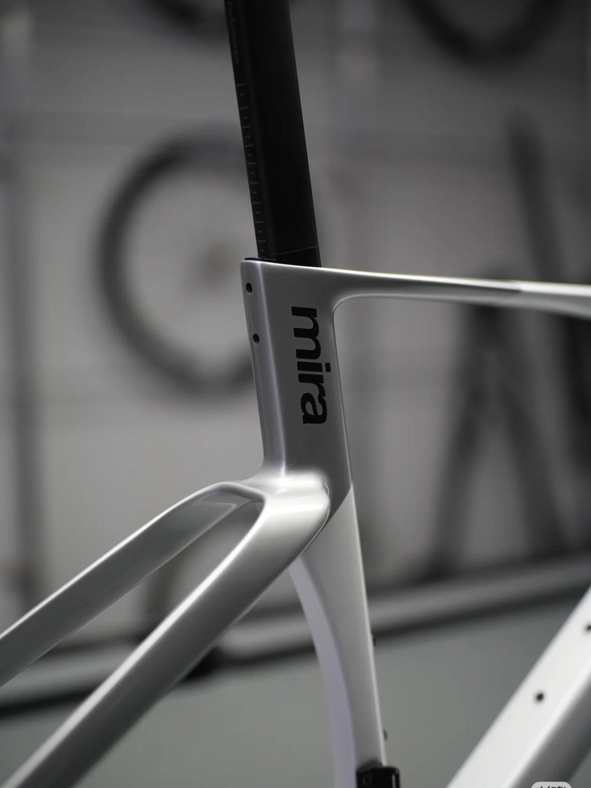 Spect Mira Carbon Road Bike Frameset