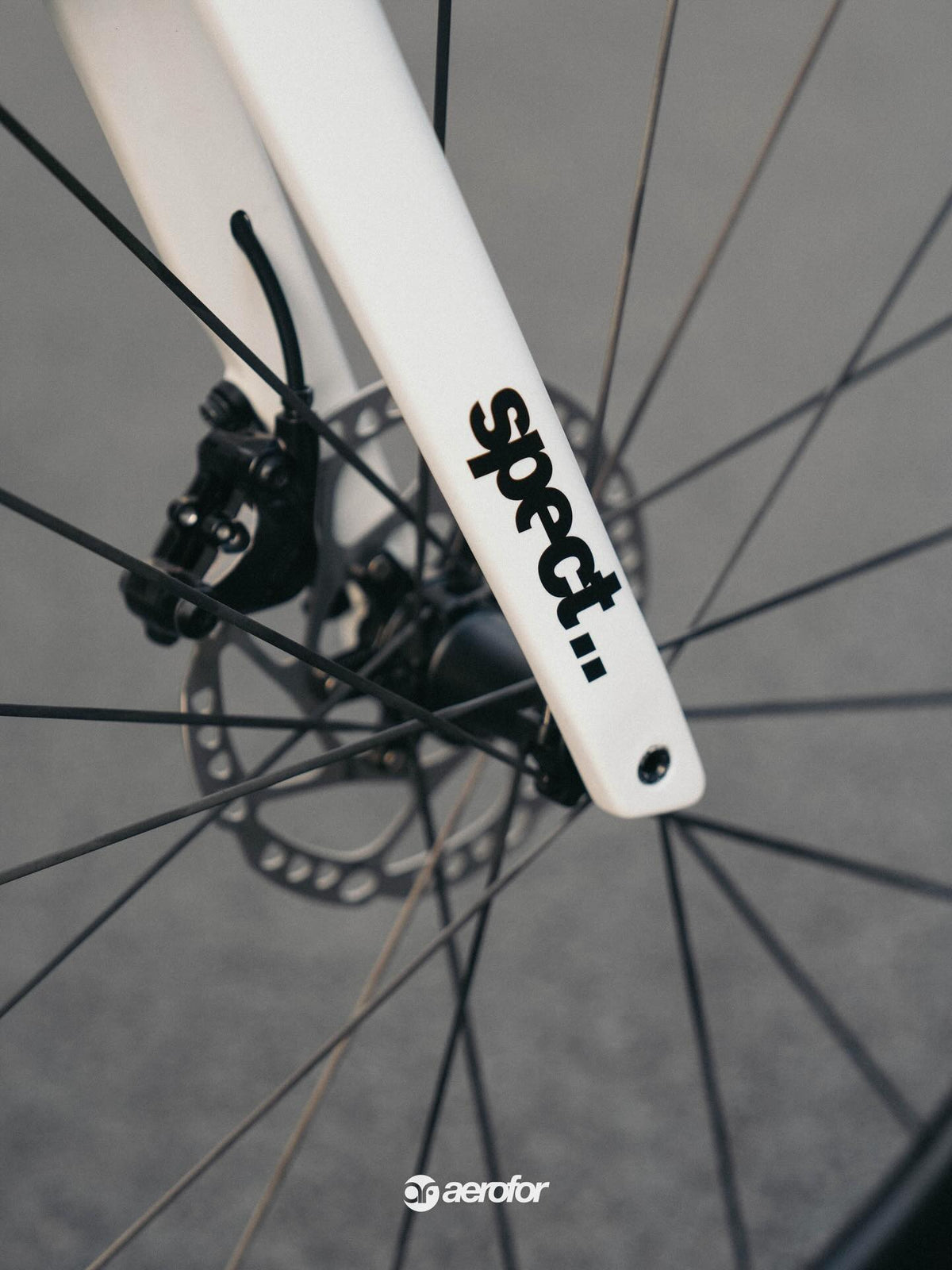 Spect Strada Carbon Road Bike Frameset