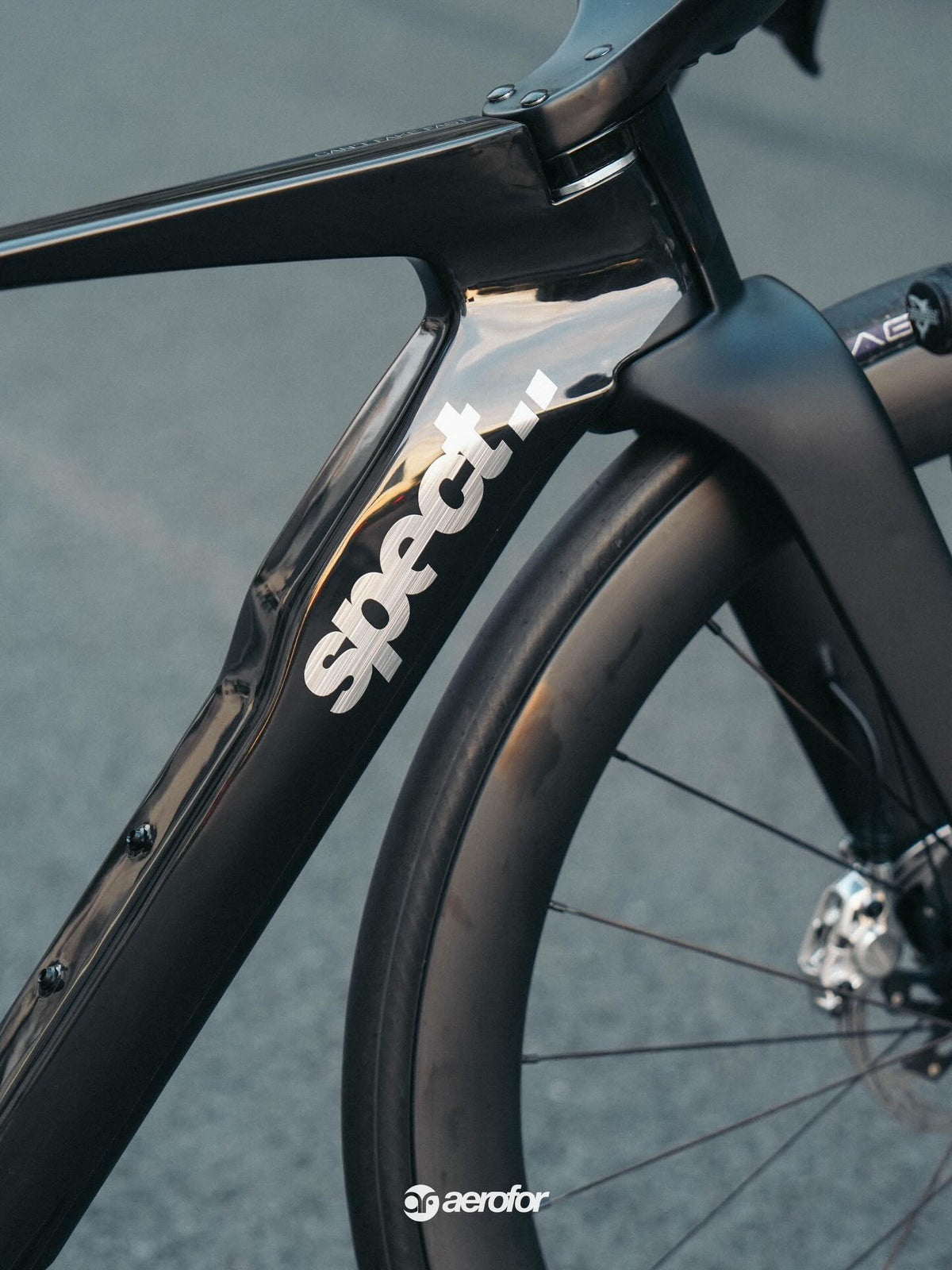 Spect Mira Carbon Road Bike Frameset