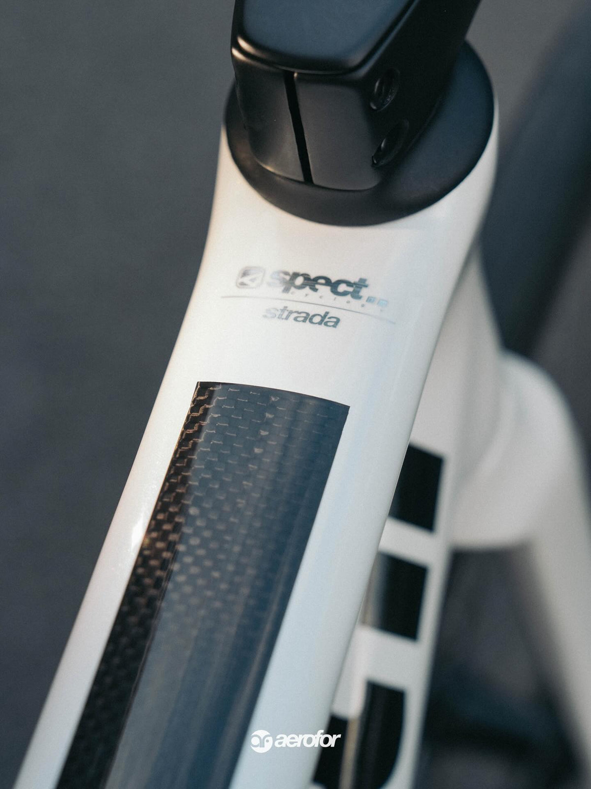 Spect Strada Carbon Road Bike Frameset