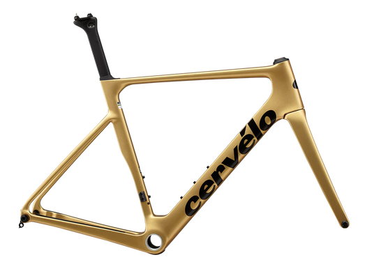 ceverlo soloist gold dust frame